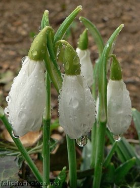 1 March